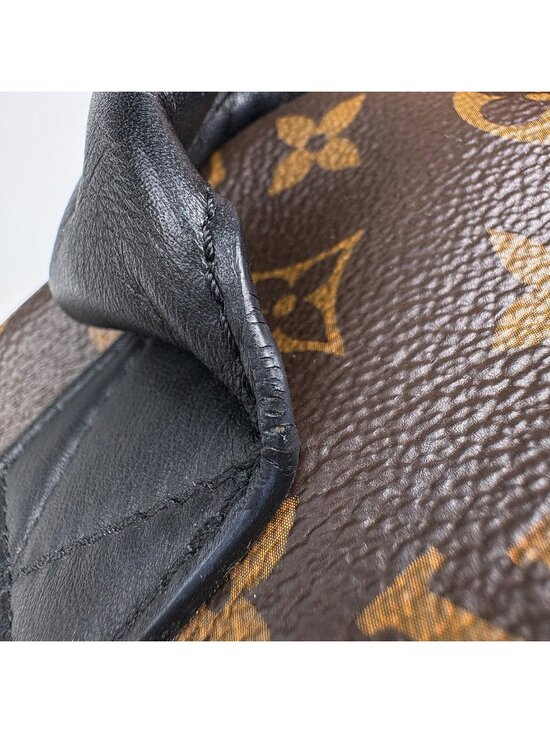 Louis Vuitton Palm Springs Backpack MM Monogram Brown main image 10